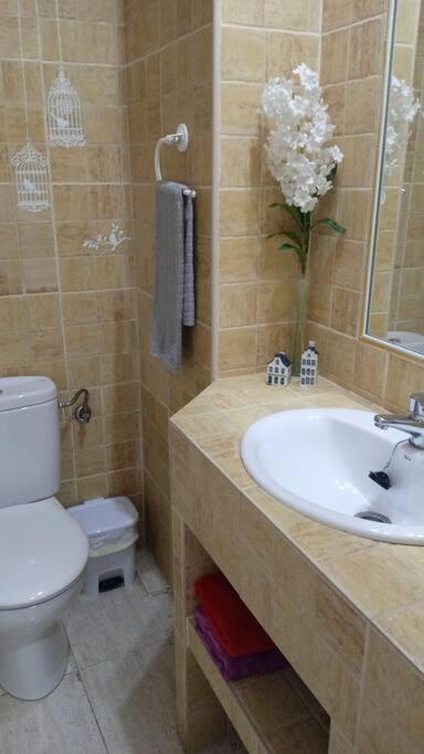 Acogedor Apartamento Jv36 Cordova Esterno foto